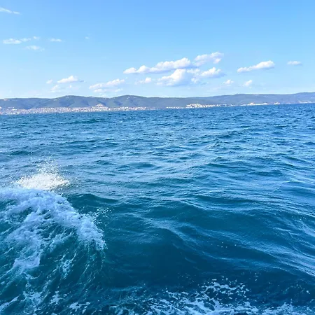 Sea 1